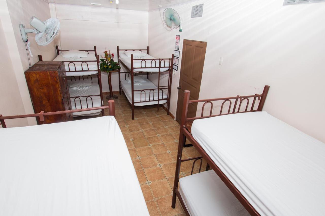 New Hostel Manuel Antonio, Meet New People 客房 照片